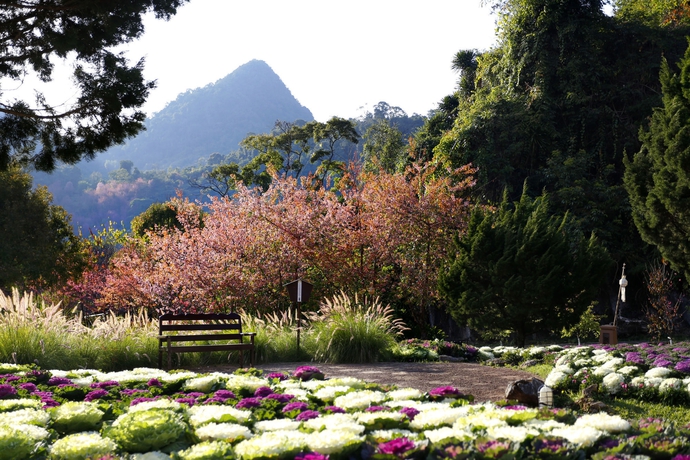 Imagen de los exteriores del Hotel Angkhang Nature Resort. Foto 11