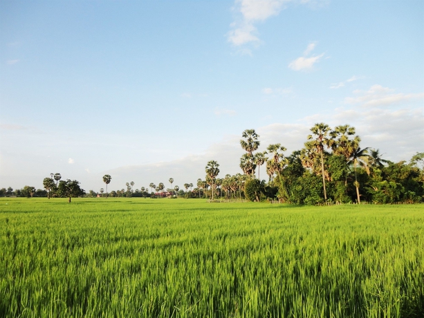 Imagen general del Hotel Angkor Rural Boutique. Foto 2