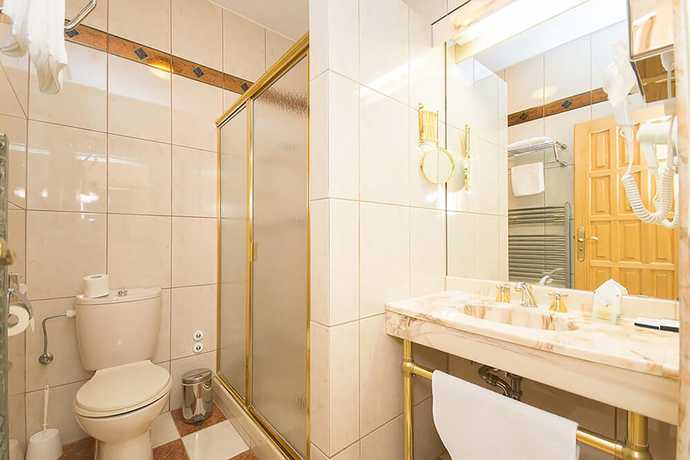 Imagen de la habitación del Hotel Anglick&yacute; Dvůr. Foto 18