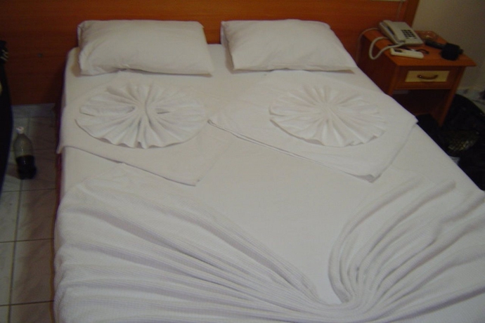 Imagen general del Hotel Angora. Foto 8