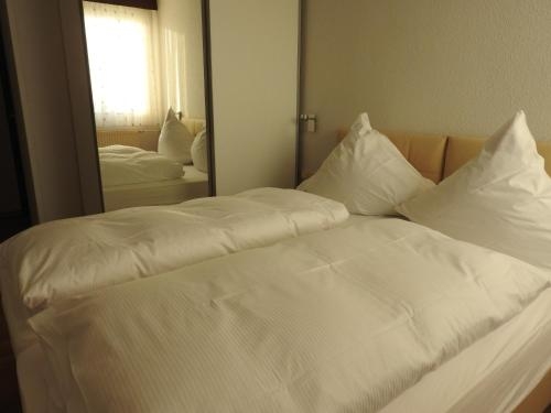 Imagen general del Hotel Anhalt. Foto 4