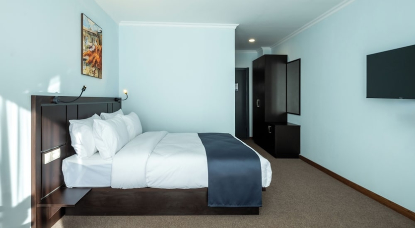Imagen de la habitación del Hotel Ani Forest Hills and Resort. Foto 4