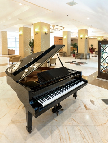 Imagen de los interiores del Hotel Ani Plaza. Foto 12