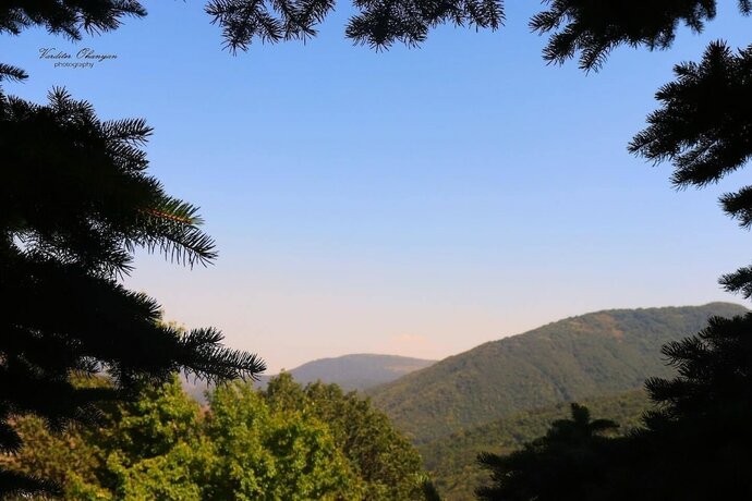 Imagen general del Hotel Ani Resort. Foto 8