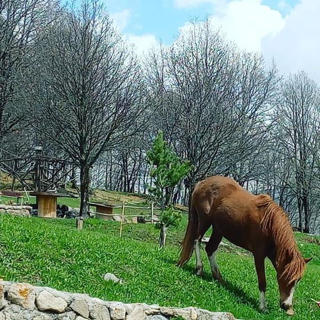 Imagen general del Hotel Ani Resort. Foto 1