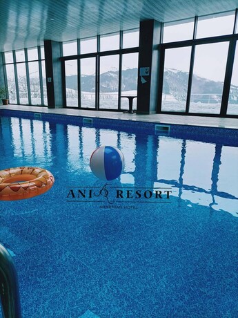 Imagen de la piscina del Hotel Ani Resort. Foto 24