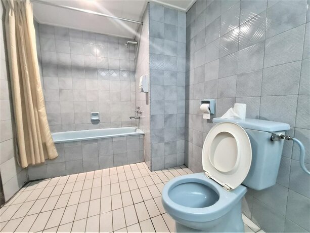 Imagen general del Hotel Aniika Inn. Foto 20