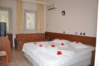 Imagen de la habitación del Hotel Anil. Foto 13