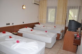 Imagen de la habitación del Hotel Anil. Foto 14
