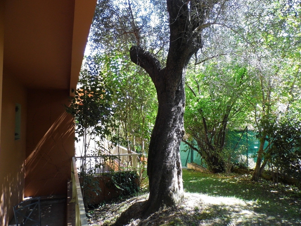 Imagen de los exteriores del Hotel Anis. Foto 11