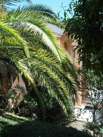 Imagen general del Hotel Anis. Foto 4