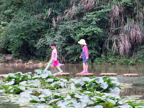 Imagen de la habitación del Hotel An'ji Dazhu Hailong Red Manor. Foto 7