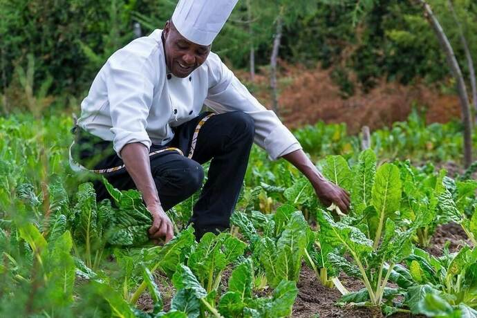 Imagen general del Hotel Anka Resort. Foto 8