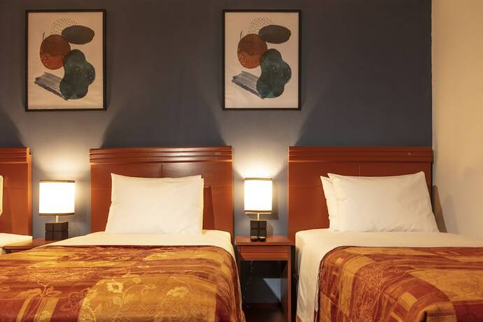 Imagen general del Hotel Ankara Boutique. Foto 5