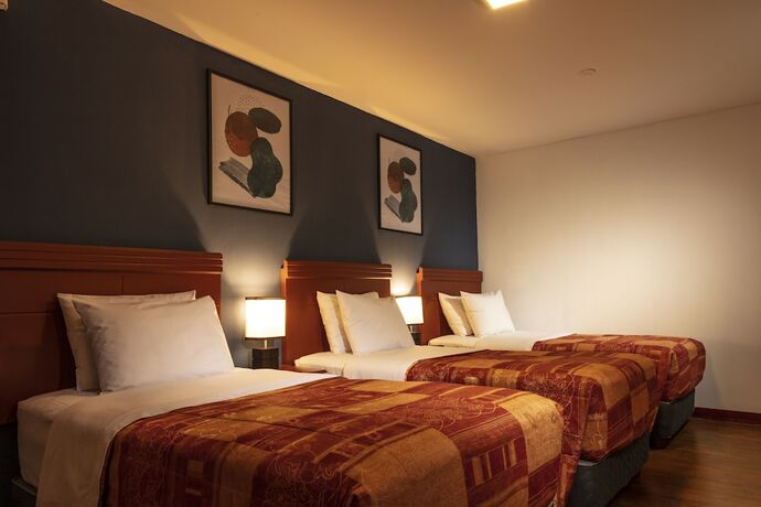 Imagen de la habitación del Hotel Ankara Boutique. Foto 20