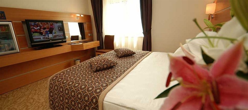 Imagen general del Hotel Ankara Plaza. Foto 2