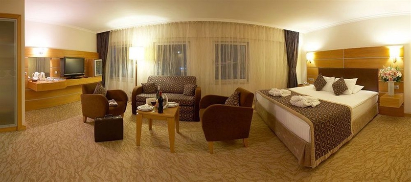 Imagen de la habitación del Hotel Ankara Plaza. Foto 8