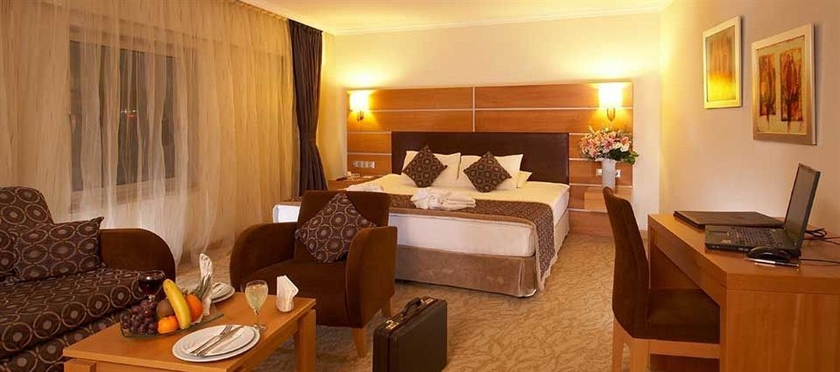 Imagen de la habitación del Hotel Ankara Plaza. Foto 11