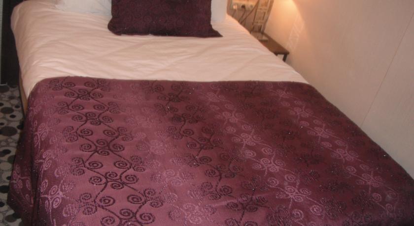 Imagen general del Hotel Ankara Risiss. Foto 6