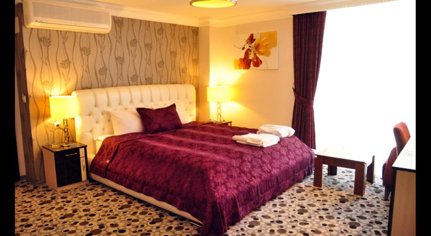 Imagen general del Hotel Ankara Risiss. Foto 8