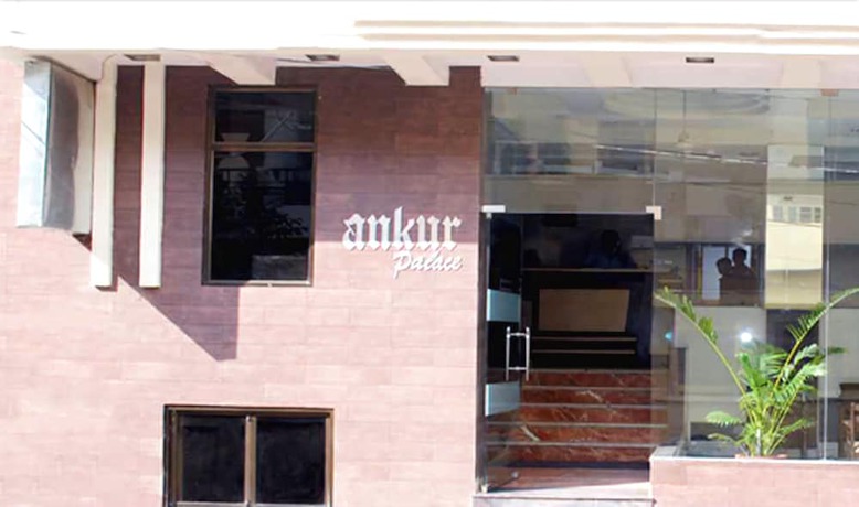 Imagen general del Hotel Ankur Palace. Foto 2