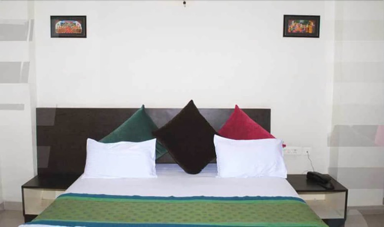 Imagen general del Hotel Ankur Palace. Foto 1