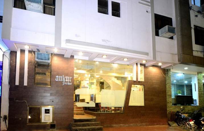 Imagen general del Hotel Ankur Palace. Foto 3