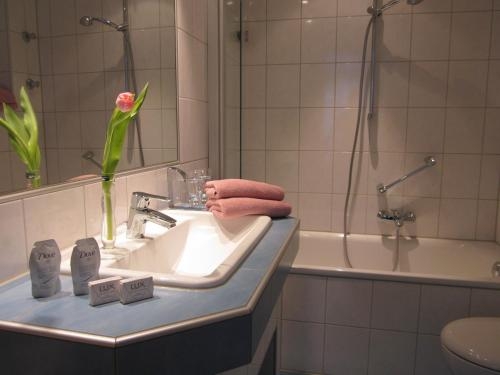 Imagen general del Hotel Anlage Heidelberg. Foto 2