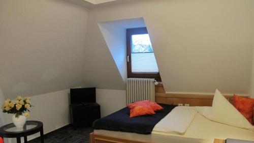 Imagen general del Hotel Anlage Heidelberg. Foto 5