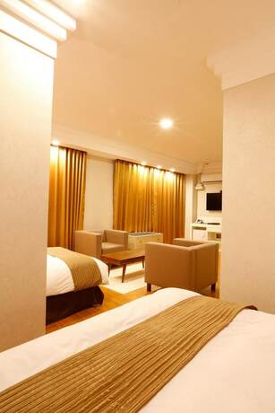 Imagen general del Hotel Anmyeon Plaza. Foto 2