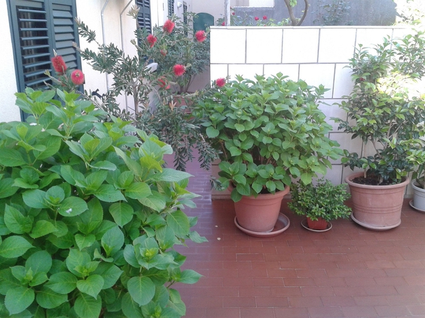 Imagen de los exteriores del Hotel Anna Guesthouse. Foto 10