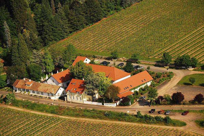 Imagen de los interiores del Hotel Annaberg. Foto 8