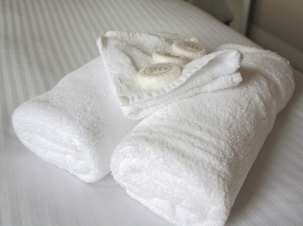 Imagen de la habitación del Hotel Annandale. Foto 14