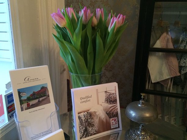 Imagen de los interiores del Hotel Annasl. Foto 17