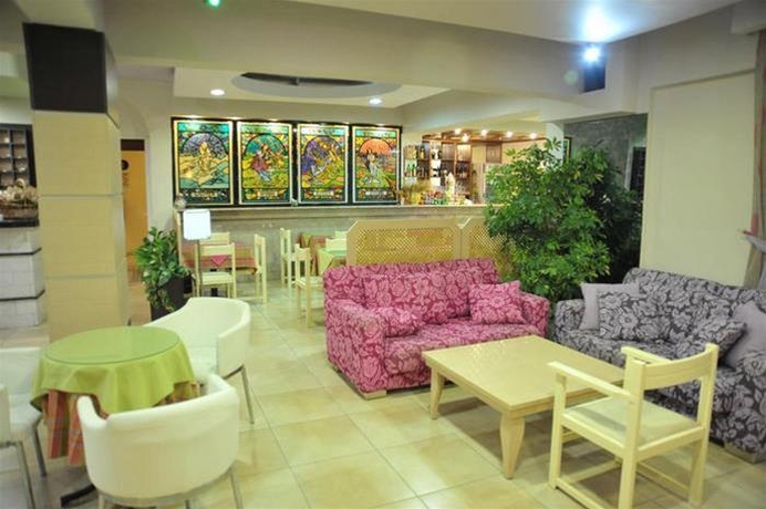 Imagen general del Hotel Anseli. Foto 8