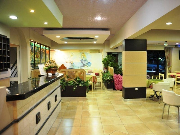 Imagen general del Hotel Anseli. Foto 12