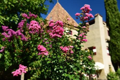 Imagen general del Hotel Ansitz Punthof. Foto 6