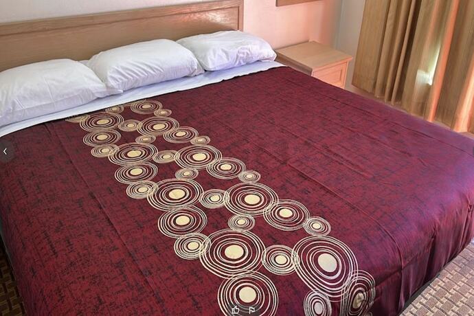 Imagen de la habitación del Hotel Anson Inn By Oyo. Foto 19