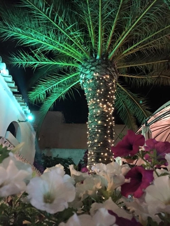 Imagen general del Hotel Antares, Cala d'Or. Foto 2