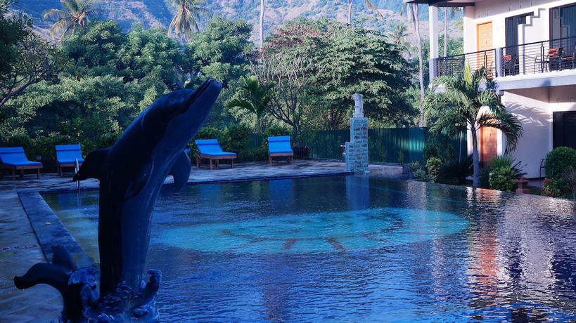 Imagen de la piscina del Hotel Antari. Foto 18