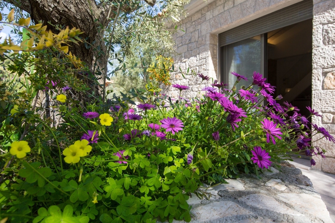 Imagen de la habitación del Hotel Anthemion Suites and Villas. Foto 13