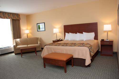 Imagen de la habitación del Hotel Anthracite. Foto 2