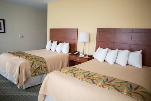 Imagen de la habitación del Hotel Anthracite. Foto 6