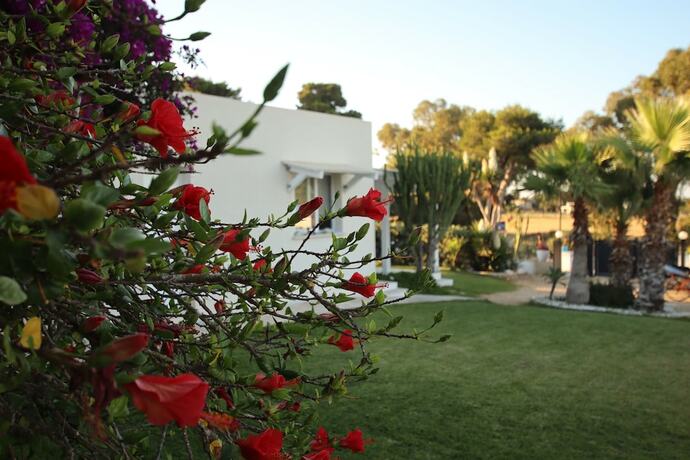 Imagen general del Hotel Antichi Mulini. Foto 9