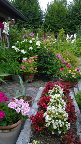 Imagen del bar/restaurante del Hotel Antico Albergo Sant'antonio. Foto 4