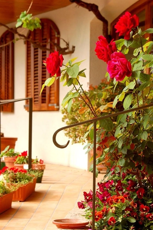 Imagen de los exteriores del Hotel Antiga. Foto 11