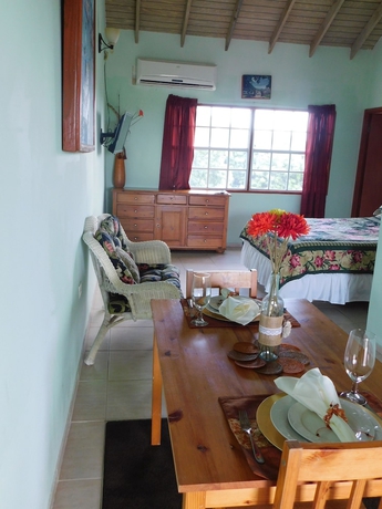 Imagen de la habitación del Hotel Antigua Seaview. Foto 15