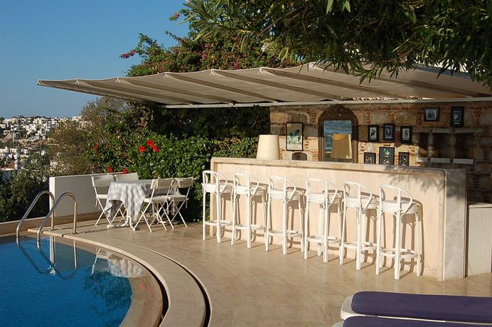 Imagen de la piscina del Hotel Antique Theatre. Foto 15