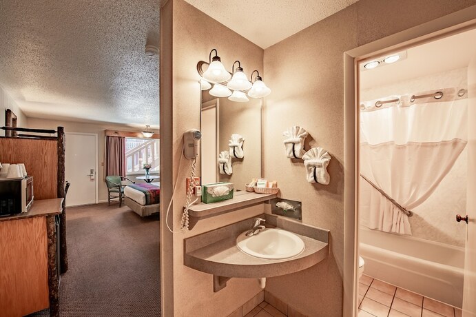 Imagen general del Hotel Antler Inn. Foto 5