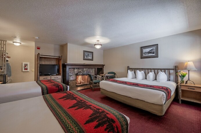 Imagen de la habitación del Hotel Antler Inn. Foto 17